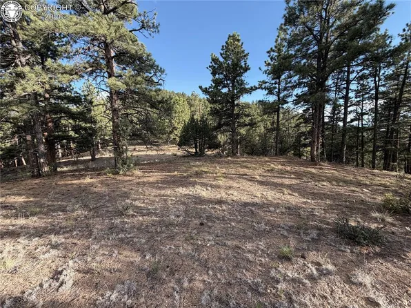380 Buck Ridge Rd, Canon City, CO 81212