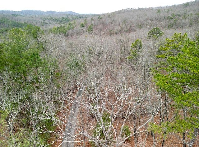 2nd image of 0 Bruce Mountain Rd