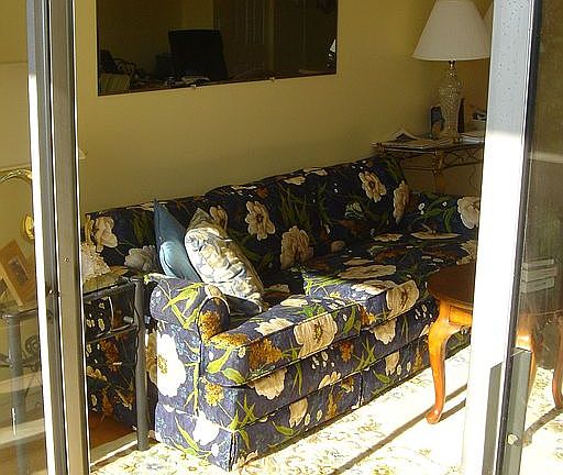 Sun Filled Living Room