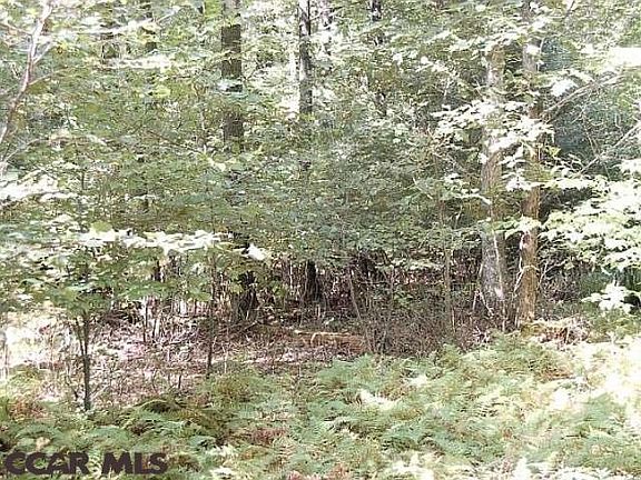 5th image of ON Orvis Beckwith Ln