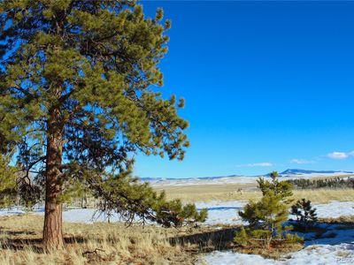 11162 Ranch Road LOT 1025, Hartsel, CO, 80449