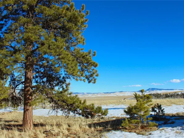 11162 Ranch Road LOT 1025, Hartsel, CO 80449