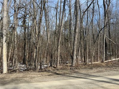 Mattoon Rd Lot 55, Prattsburgh, NY, 14873