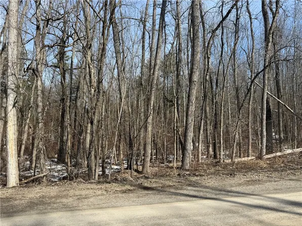Mattoon Rd Lot 55, Prattsburgh, NY 14873