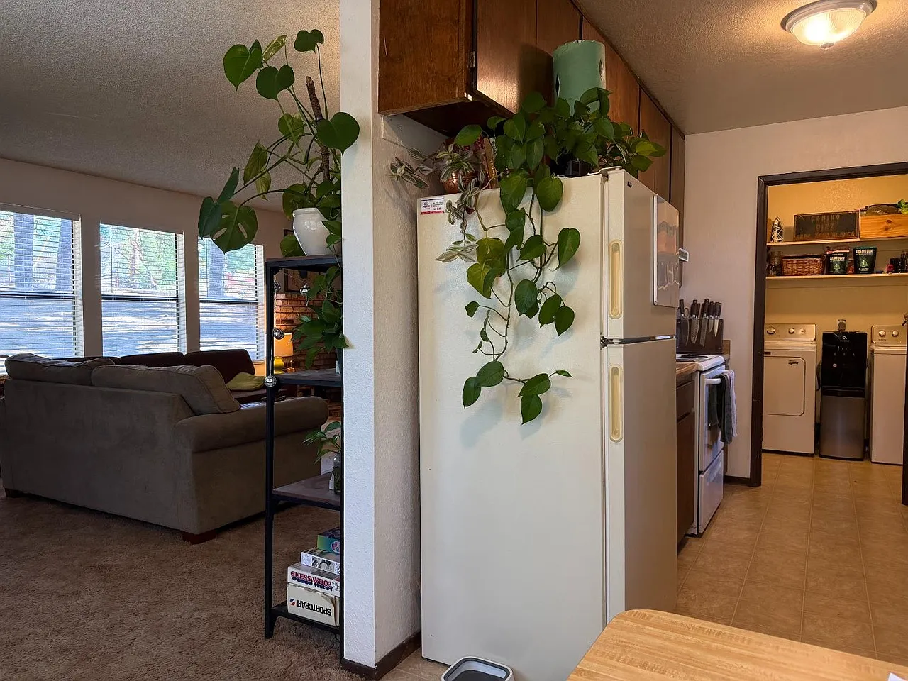 3 bed, 1344 sqft, $2,100 — Photo 4