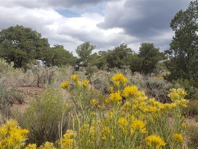 Lot 6969 Trinchera Ranch Road LOT 6969, Fort Garland, CO, 81133