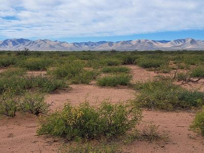 W Drifters Way #Por, Mc Neal, AZ, 85617