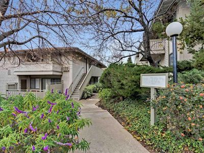 1439 Marchbanks Dr APT 2, Walnut Creek, CA, 94598