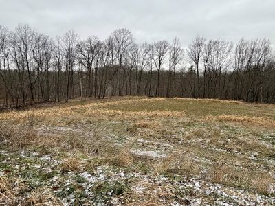 0 Sealover Hollow Rd, Philo, OH, 43771