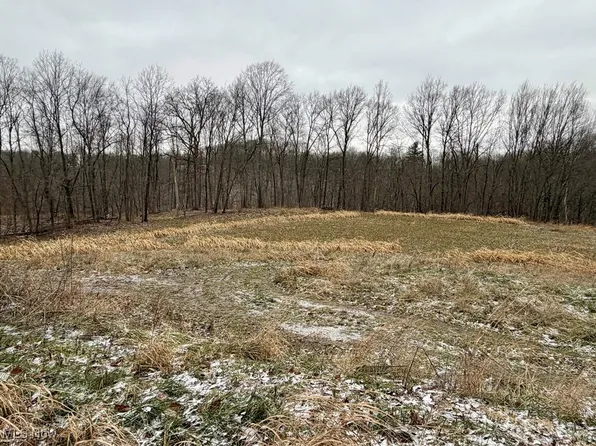 0 Sealover Hollow Rd, Philo, OH 43771