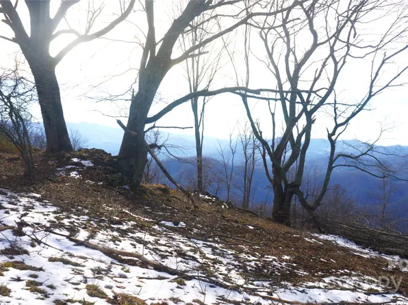 State Route 1386 W Sang Br, Cherokee, NC 28719