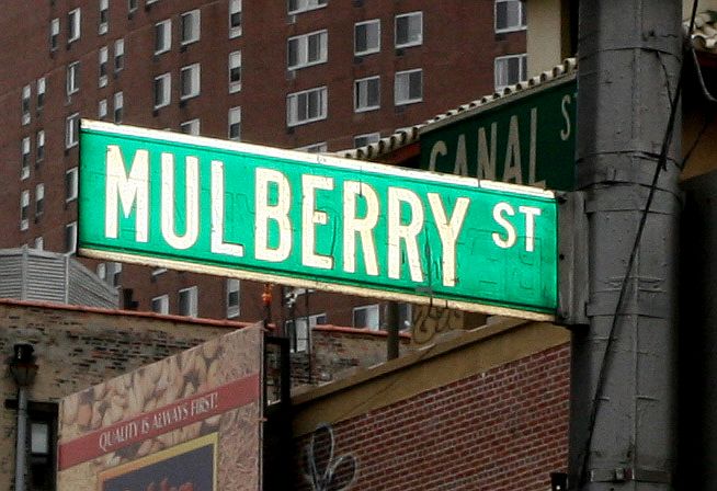 1st image of 168 Mulberry St APT 2E