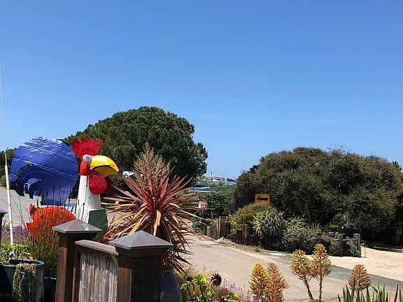Beach access is directly across the street between the two trees.