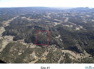 0000-1 Goat Ranch Rd, Pie Town, NM 87827