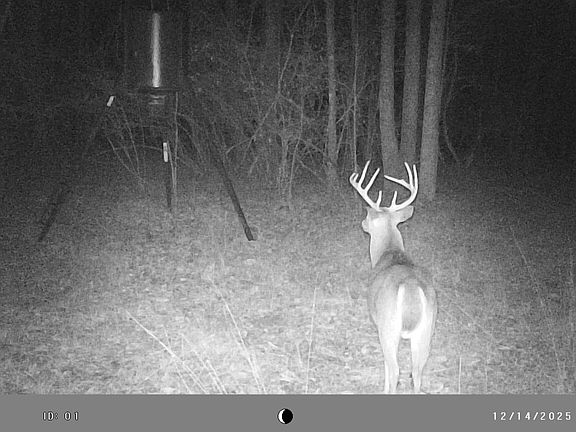 3rd image of 2486 Hulmes Chapel Rd