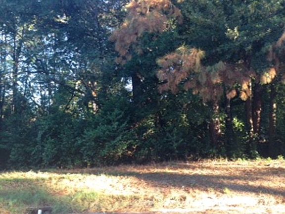 5th image of 1201 Crawford Dr