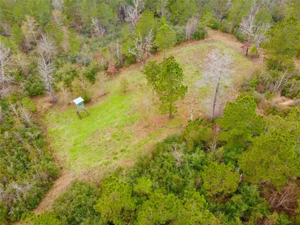 2845 County Rd, Colmesneil, TX 75938