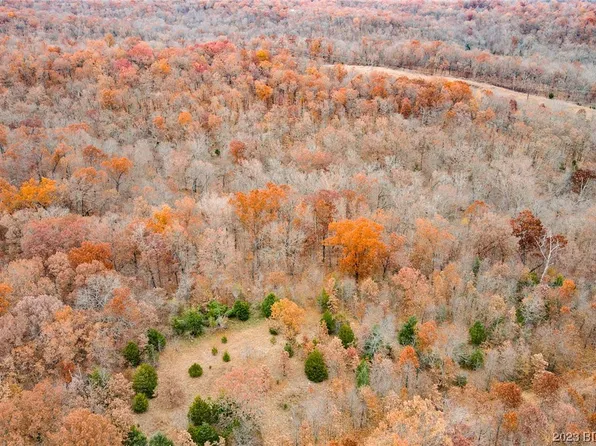 Persimmon Ln, Gravois Mills, MO 65037