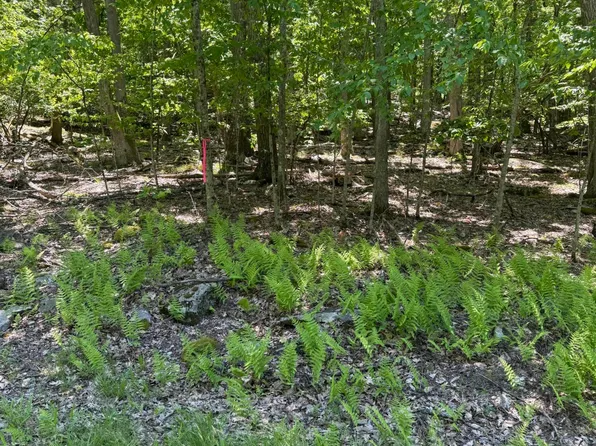 Paper Birch N, Tafton, PA 18464