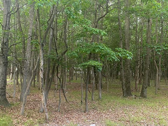 2nd image of 0 Stony Hollow Cir