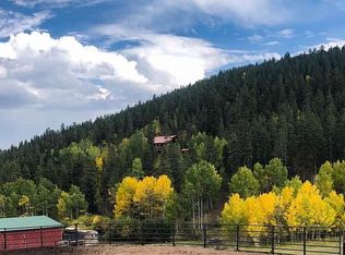 637 Rock Rd, Bailey, CO 80421