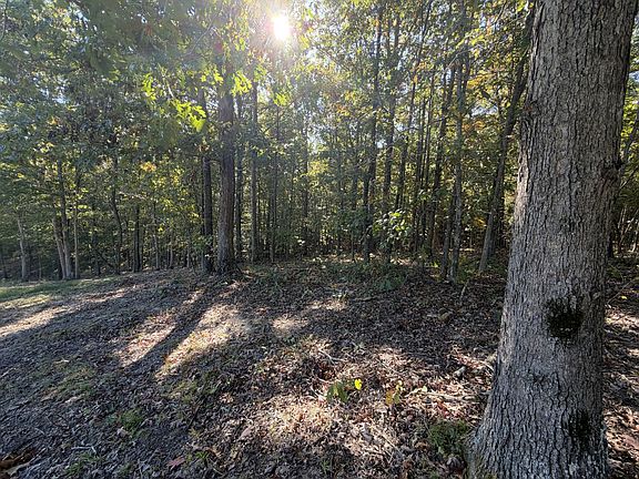 5th image of 0 Workman Cemetery Rd