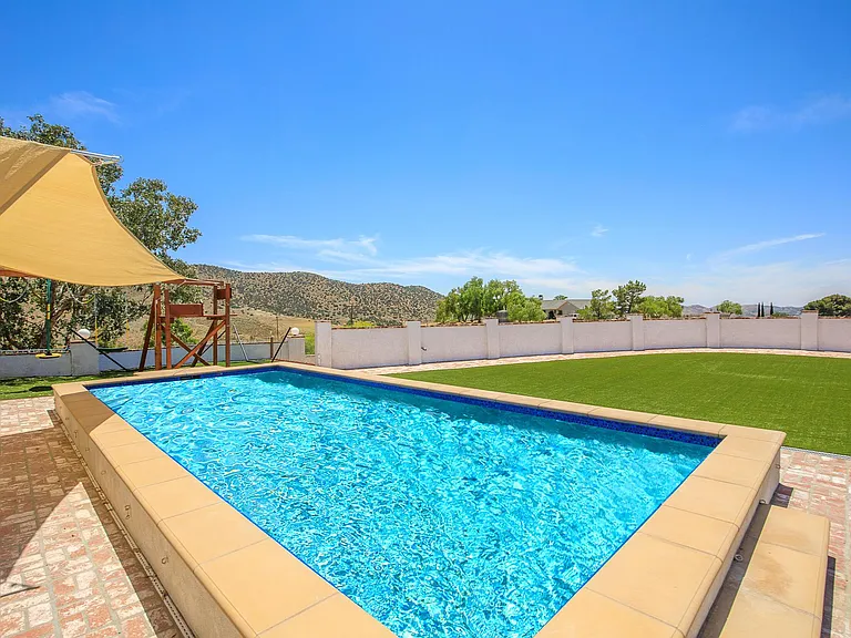 Fabulous pool, 12' x 28'