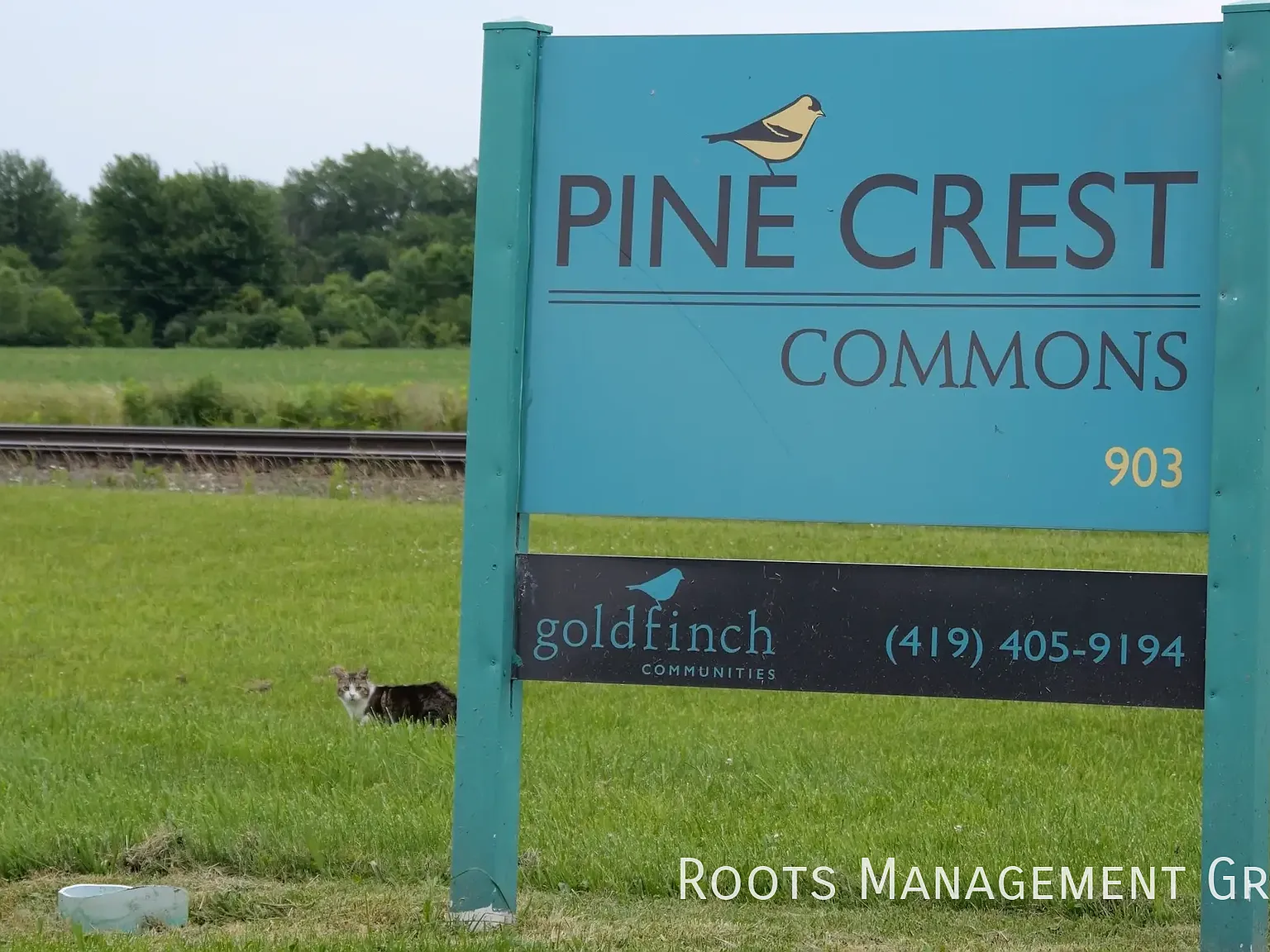 3 Bed 2 Bath Home Available for Lease at Pine Crest - Apply Now! — Photo 3