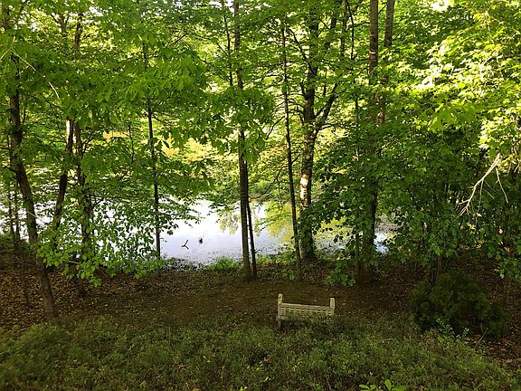 The view off the back deck, property goes to the water's edge