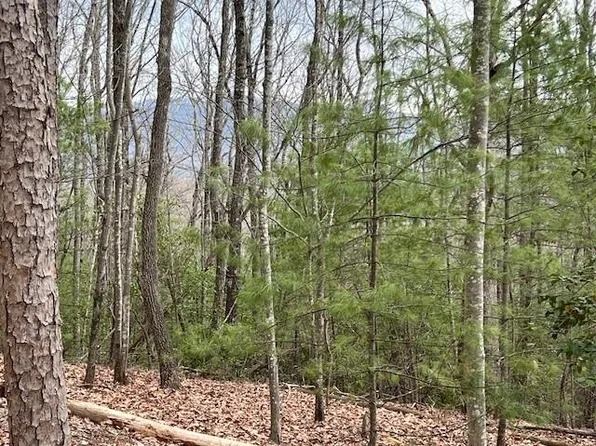 LOT 7 Marjorie Ave, Ellijay, GA 30536