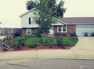 162 Sunflower Dr, Windsor, CO 80550