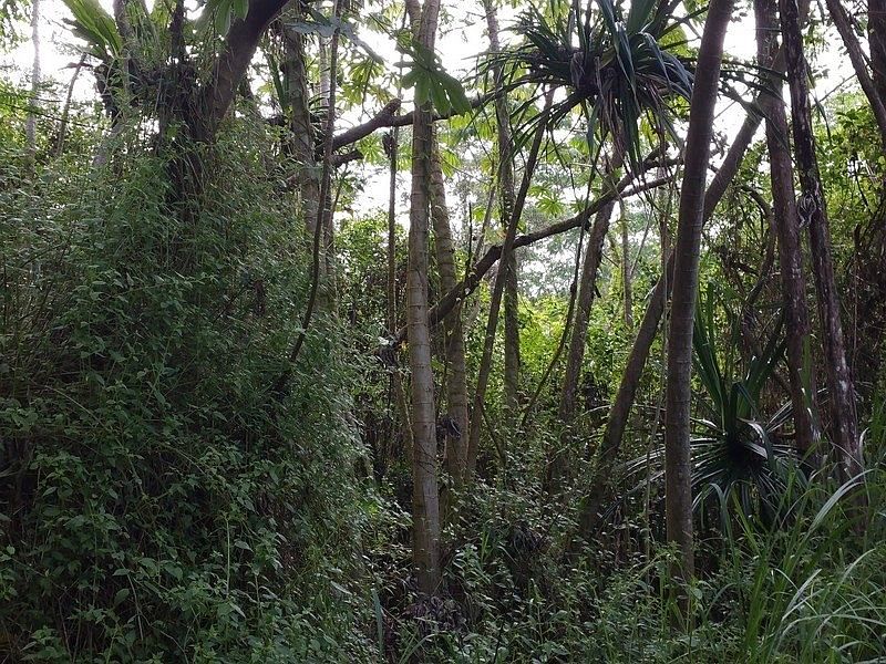 2nd image of Alii Rd Lot 1199