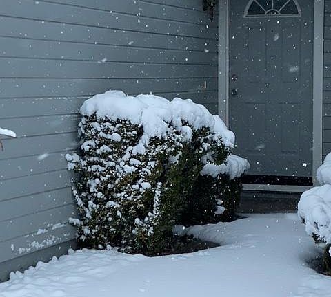 2nd image of 4064 Village Dr