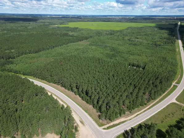 38207 229th Ave, Menahga, MN 56464