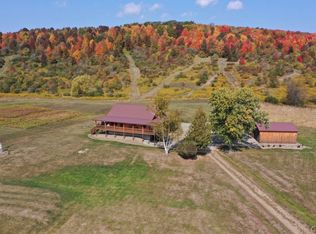 105 Morehouse Rd, Woodhull, NY 14898