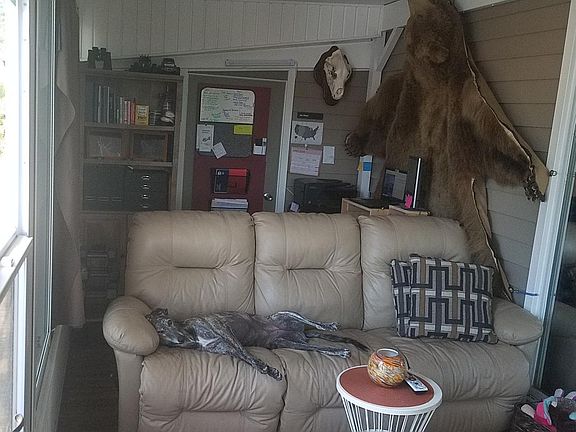 3rd image of 790 San Carlos Dr Trlr 23
