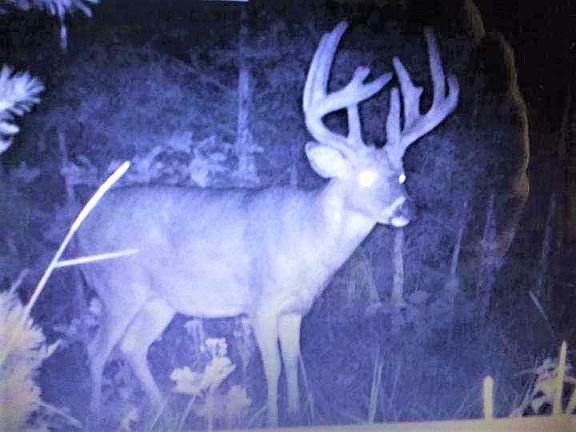 3rd image of 637 Lake Road