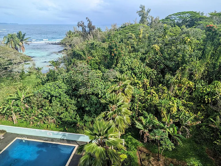 1875 Kalanianaole St #708 — Photo 8