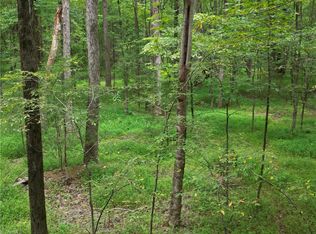 44650 Fish Camp Rd, New London, NC 28127