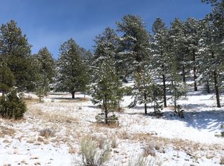 1166 Matterhorn Cir N, Westcliffe, CO 81252