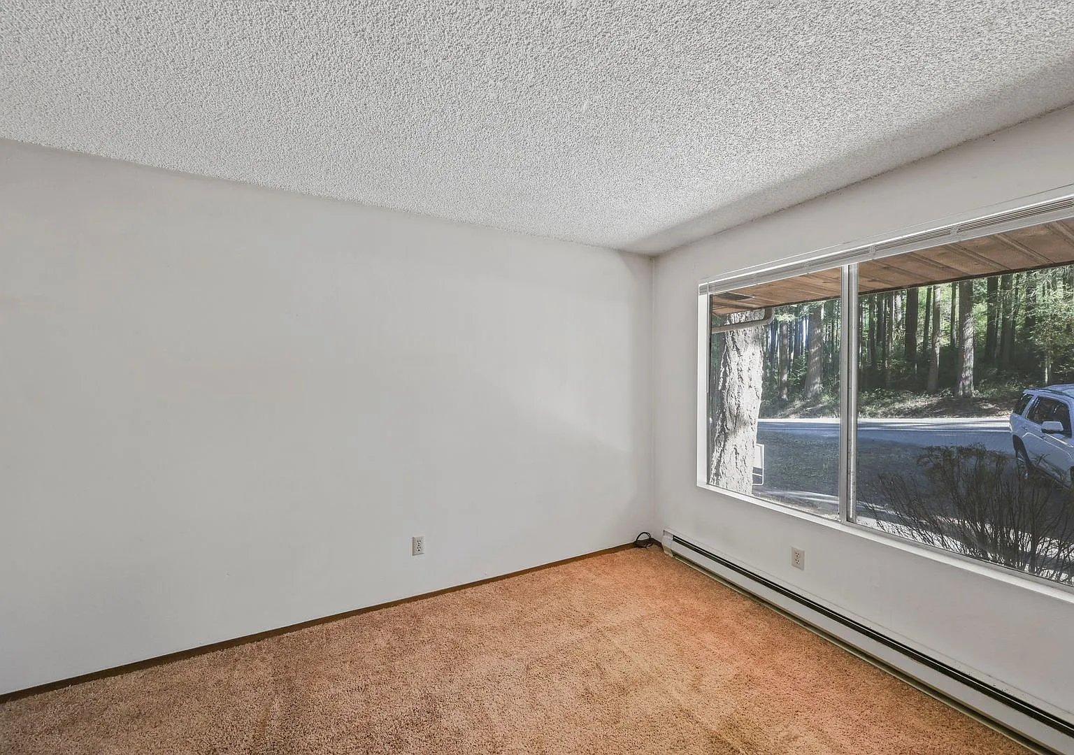 2 Bed 1 Bath - Pet Friendly - Landscaping Included - NAS Whidbey — Photo 3