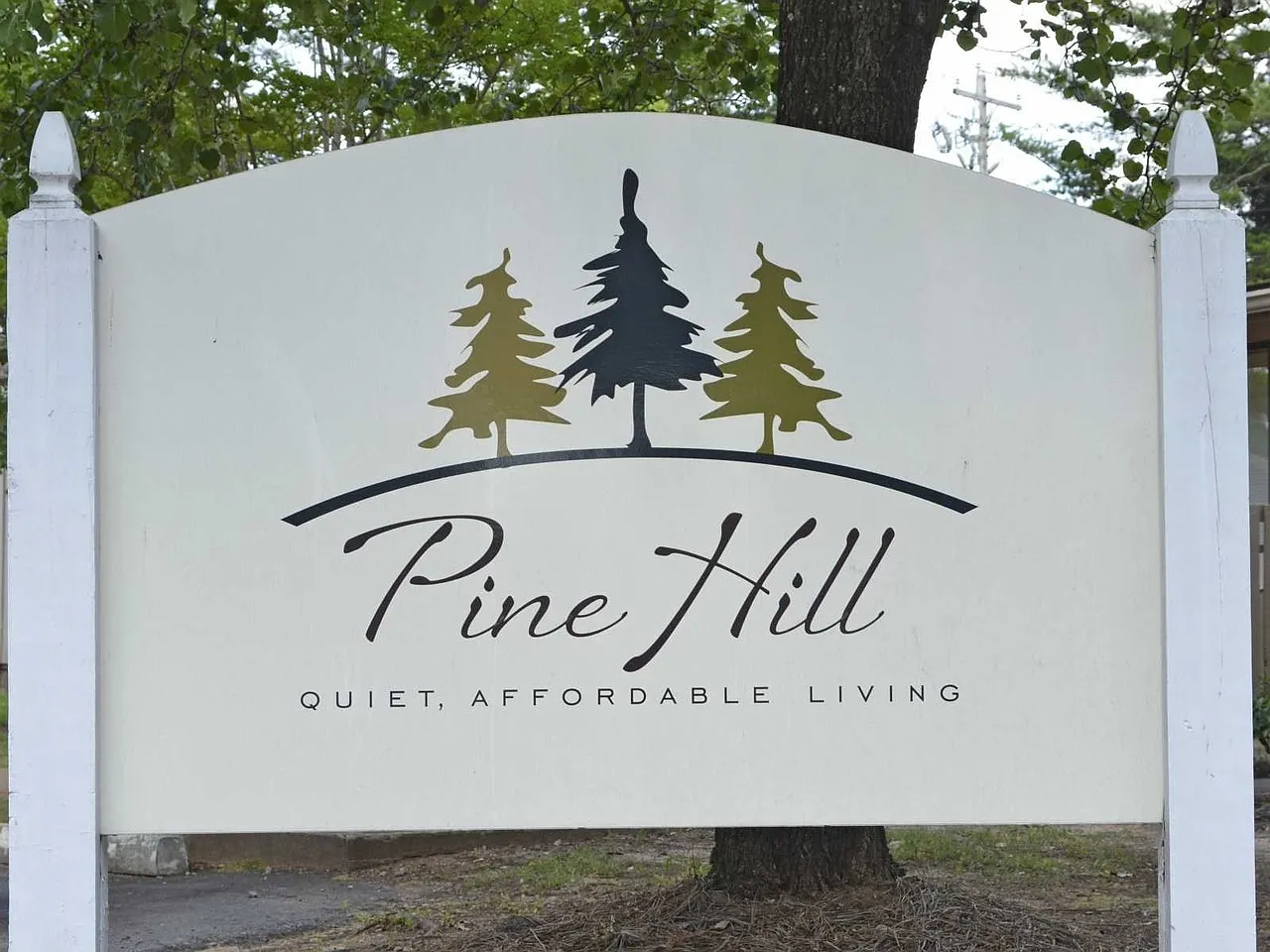 Pine Hill — Photo 1