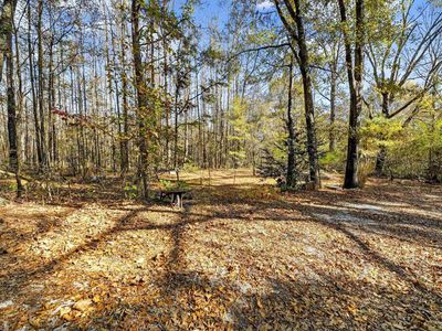 206 Pruitt Rd, Piedmont, AL, 36272