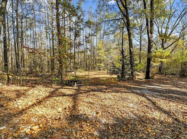 206 Pruitt Rd, Piedmont, AL 36272