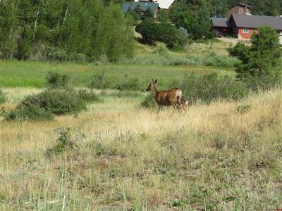 310 Sundown Drive, Creede, CO, 81130