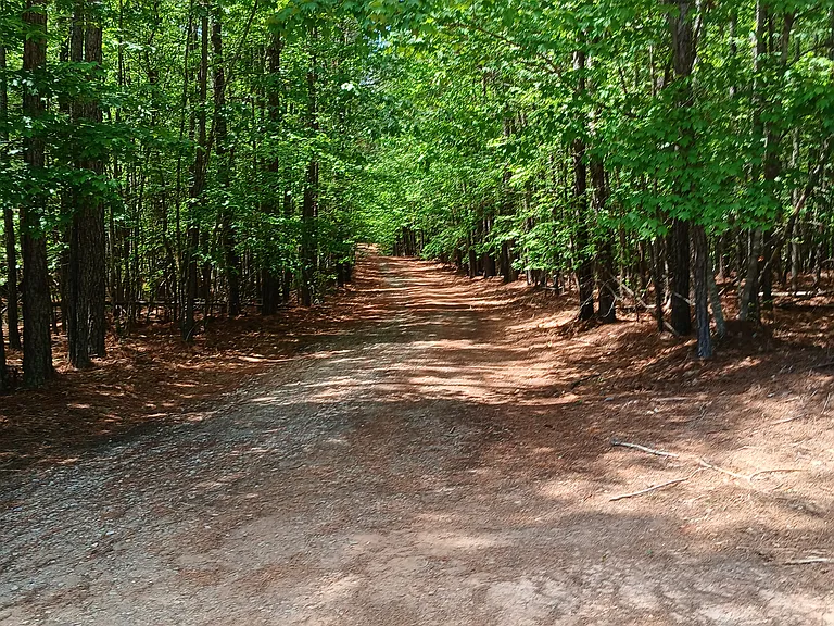 Driveway to house