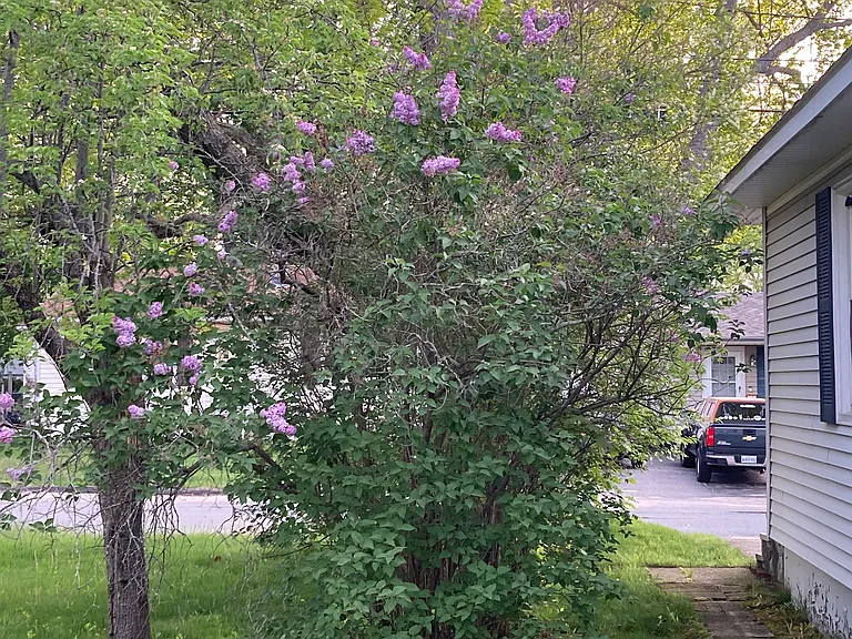 122 Dawson St — Photo 7