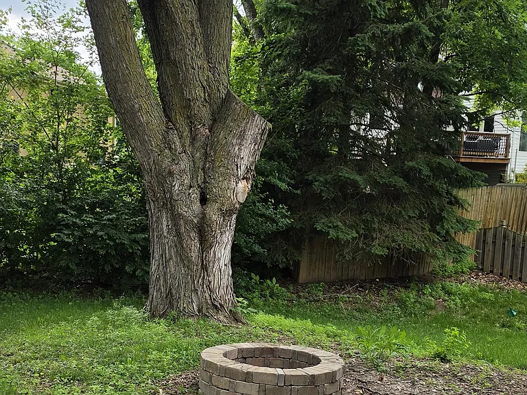 Firepit perfect for Fall/Summer nights