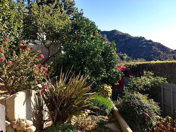 Terraced Gardens with Fruit Trees