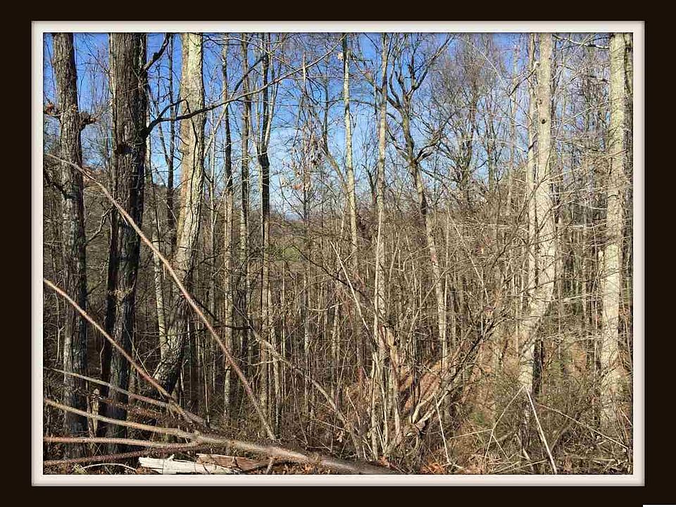 2nd image of 4336 Chamberlain Ln